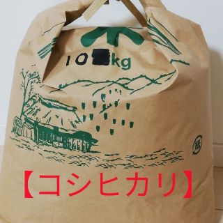 【コシヒカリ】精米10kg
格安訳あり令和元年産新米(米/穀物)