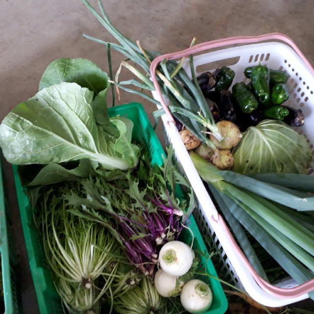 野菜詰め合わせ80サイズ♡(お任せ♡) 食品/飲料/酒の食品(野菜)の商品写真