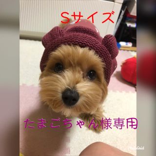 クマ耳フード ロンパース(犬)