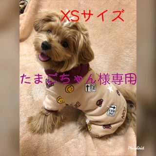 クマ耳フード ロンパース(犬)