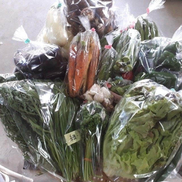 野菜詰め合わせセット(80サイズ) 食品/飲料/酒の食品(野菜)の商品写真