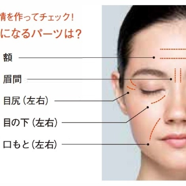 リンクルショット ホリデイディスカバリーキット