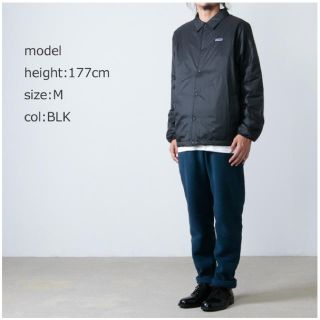 patagonia - 【最終値下げ】パタゴニア モハーヴェ トレイルズ