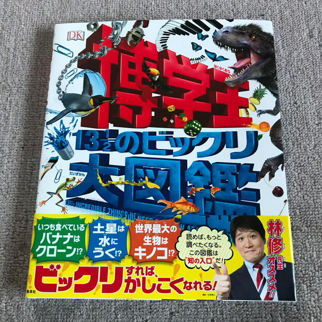 専用 おうさまあそびずかん 13冊