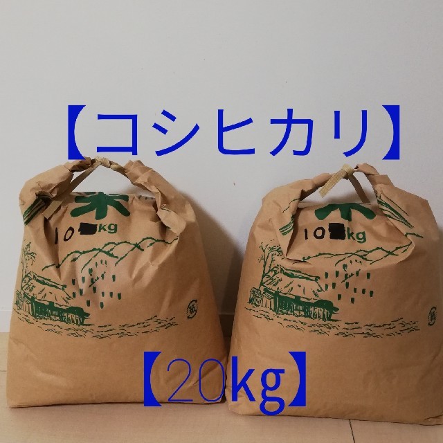 【コシヒカリ】精米20kg
格安訳あり令和元年産新米  食品/飲料/酒の食品(米/穀物)の商品写真