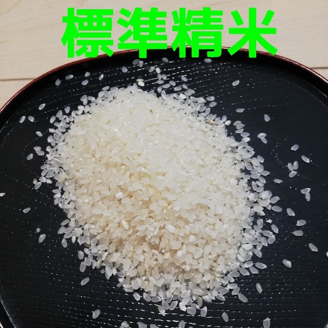 【コシヒカリ】精米20kg
格安訳あり令和元年産新米  食品/飲料/酒の食品(米/穀物)の商品写真