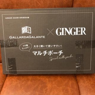 ガリャルダガランテ(GALLARDA GALANTE)のGINGER 1月号付録　マルチポーチ(ポーチ)