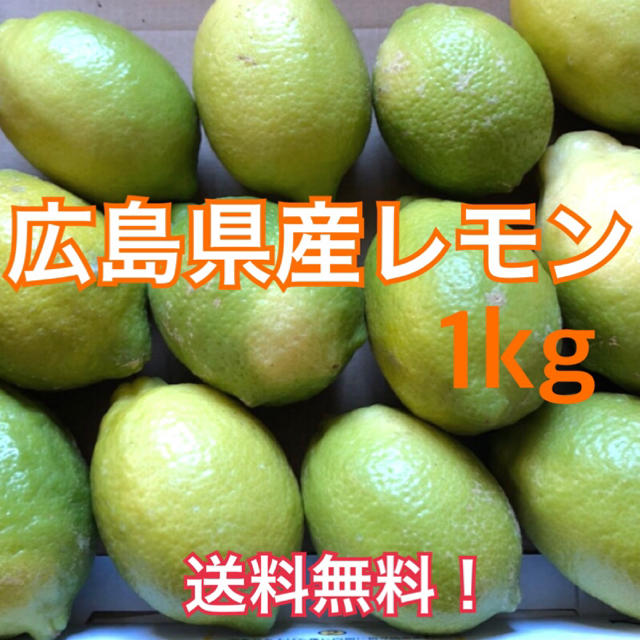 レモン 広島県産 化学農薬不使用 大崎上島産 瀬戸内 グリーンレモン 1kg 食品/飲料/酒の食品(フルーツ)の商品写真