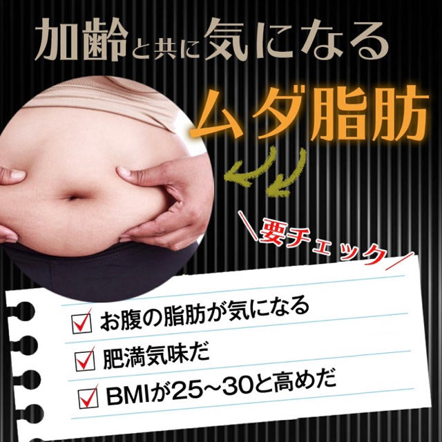 折 海外 盟主 スリ マー ロジック ダイエット サプリ Toastertest Org