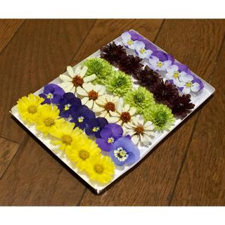 10％off‼️お花屋さんが作った可愛い7種のドライフラワー   40(ドライフラワー)