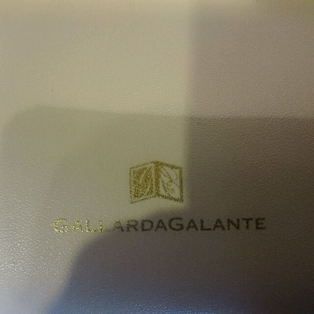 GALLARDA GALANTE(ガリャルダガランテ)の☆GALLARDAGALANTEクラッチ レディースのバッグ(クラッチバッグ)の商品写真