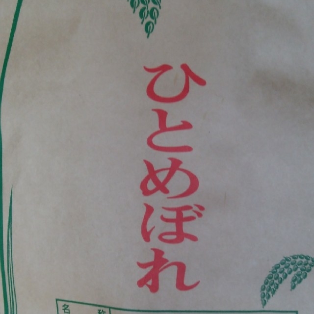 米 食品/飲料/酒の食品(米/穀物)の商品写真