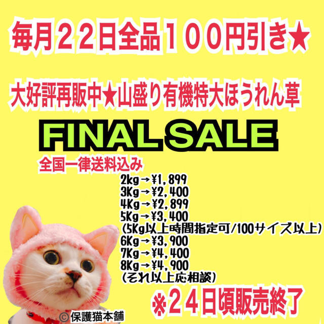 本日100円引き！ファイナルSALE！山盛り満タン有機特大ほうれん草2㎏ 食品/飲料/酒の食品(野菜)の商品写真