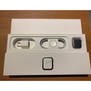 アップル(Apple)の専用カイト様(その他)