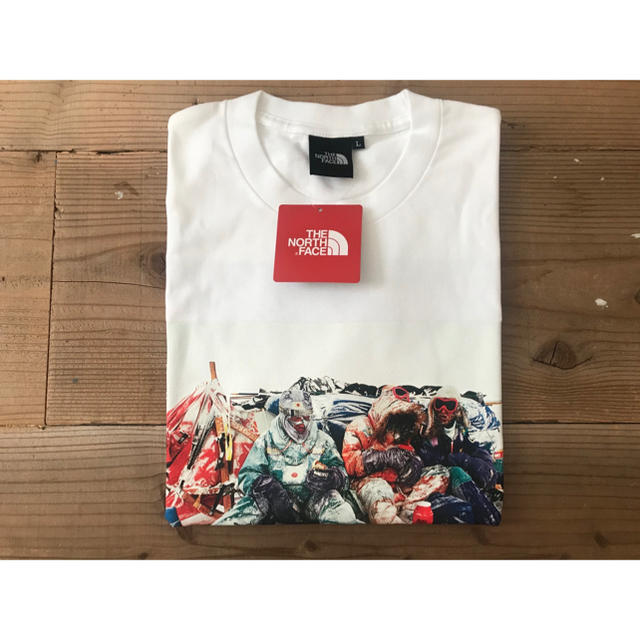 THE NORTH FACE(ザノースフェイス)のLサイズ ノースフェイス トランス アンタークティカ Tシャツ メンズのトップス(Tシャツ/カットソー(半袖/袖なし))の商品写真