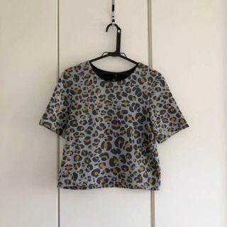 エイチアンドエム(H&M)のH＆M ボンディング　トップス　xs ☆(カットソー(半袖/袖なし))