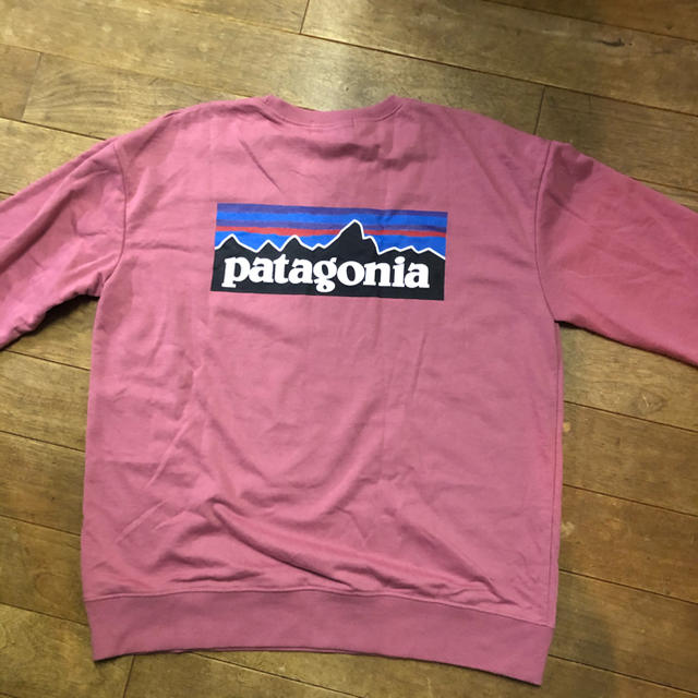 patagonia(パタゴニア)のPatagonia風 トレーナー ロンティー レディースのトップス(Tシャツ(長袖/七分))の商品写真