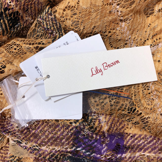 Lily Brown(リリーブラウン)のLily Brown チェックプリントトップス レディースのトップス(シャツ/ブラウス(長袖/七分))の商品写真