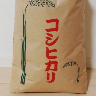 【コシヒカリ】精米10kg
格安訳あり令和元年産新米 (米/穀物)