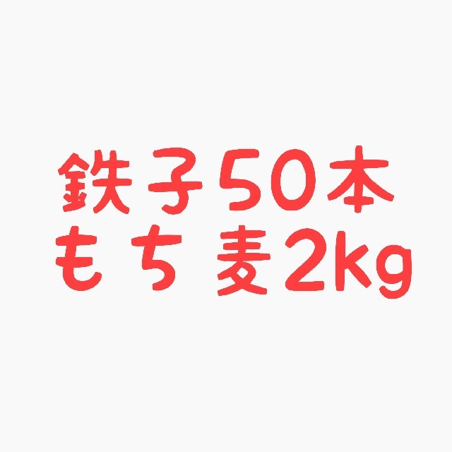 【コキンちゃん専用商品】鉄子50本＋もち麦2kg