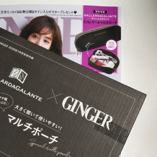 ガリャルダガランテ(GALLARDA GALANTE)のGINGER1月号特別付録 マルチポーチ(ポーチ)