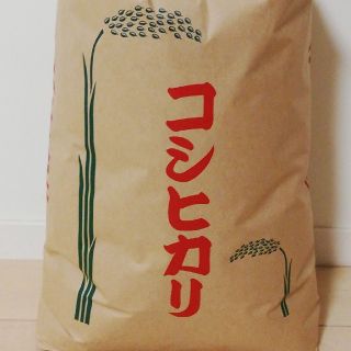 
【コシヒカリ】精米10kg
格安訳あり令和元年産新米(米/穀物)