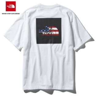 ザノースフェイス(THE NORTH FACE)のノースフェイス Tシャツ星条旗(Tシャツ/カットソー(半袖/袖なし))