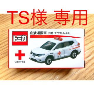 TS様　専用(ミニカー)