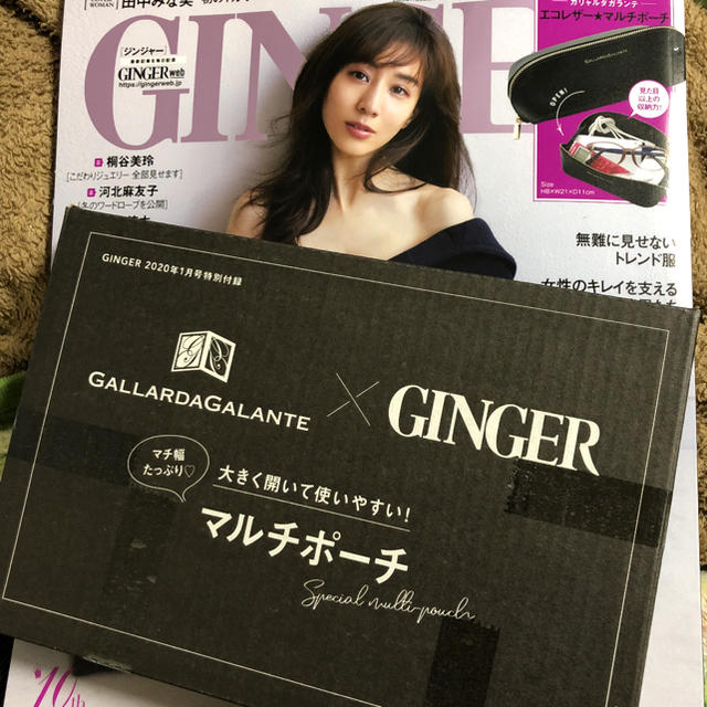 GALLARDA GALANTE(ガリャルダガランテ)のGINGER 付録 レディースのファッション小物(ポーチ)の商品写真