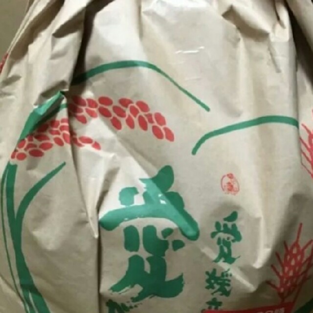 お米コシヒカリ20kg　米/穀物