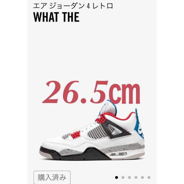 NIKE Air jordan 4 WHAT THE