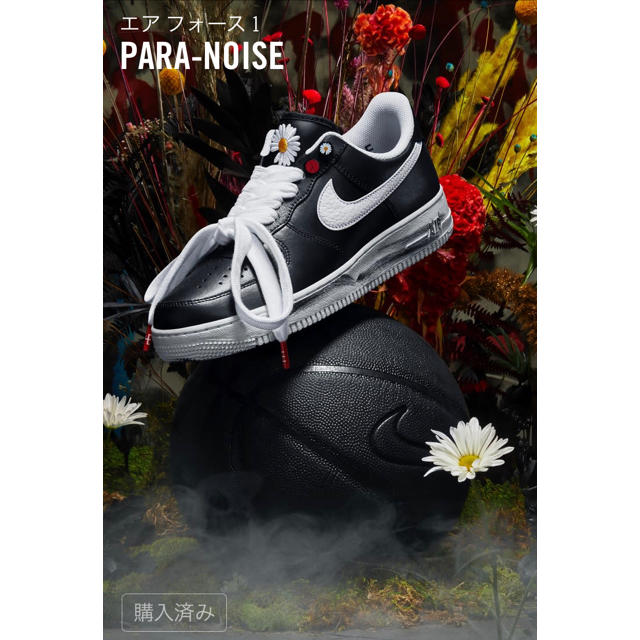 NIKE エアーフォース1 paraｰnoise