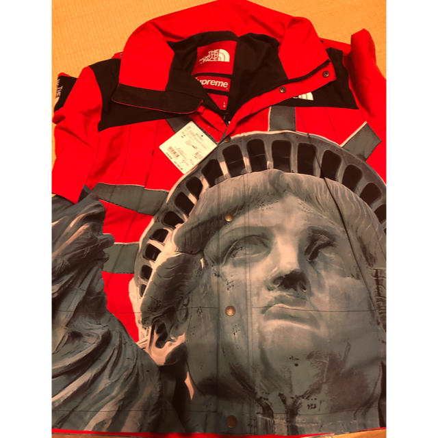 supreme north face Statue of Liberty L