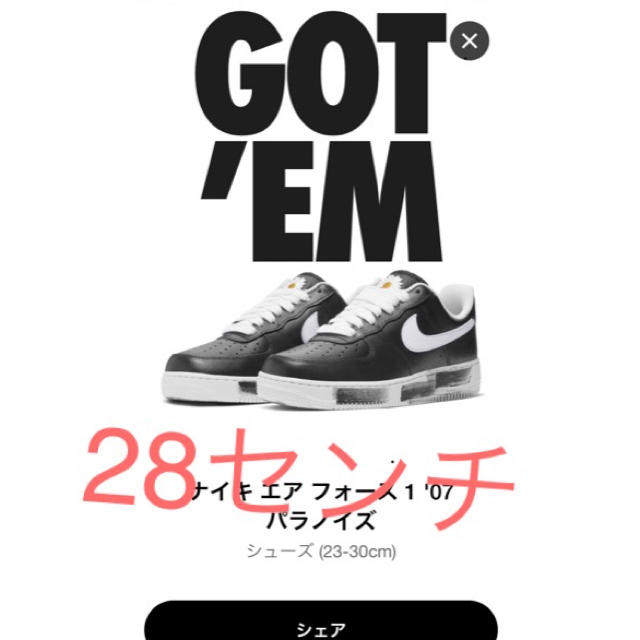 Nike Air Force 1 パラノイズ　28cm