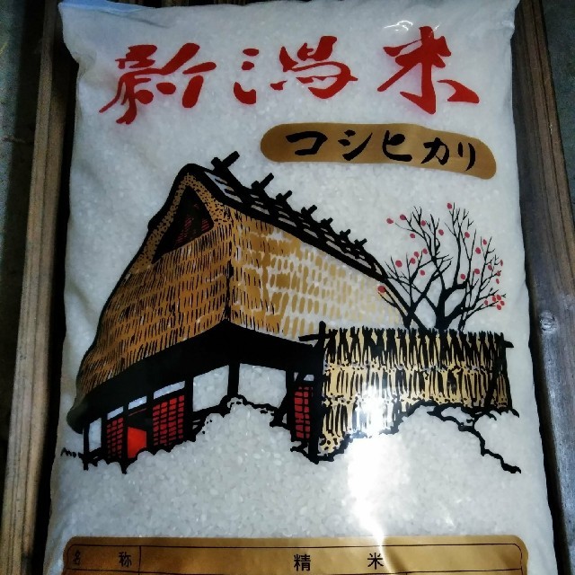 新潟県産　コシヒカリ　玄米　10kg　令和元年産