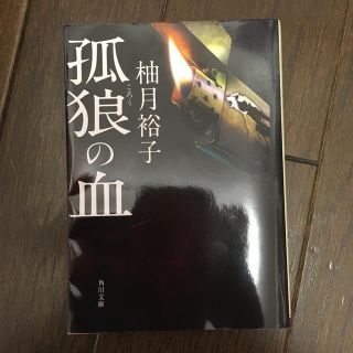 孤狼の血(文学/小説)