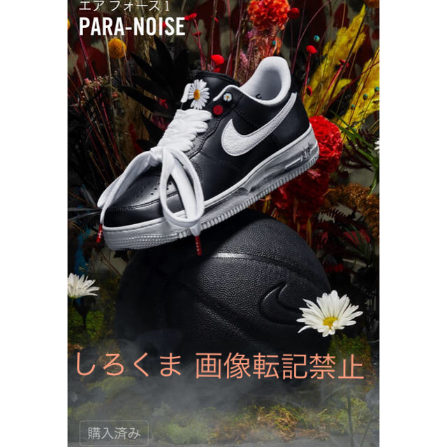 NIKE(ナイキ)のエアフォース1 PARA NOISE 【24.5cm】 メンズの靴/シューズ(スニーカー)の商品写真