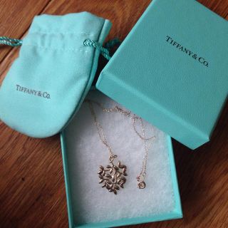 ティファニー(Tiffany & Co.)のティファニーのネックレス(ネックレス)