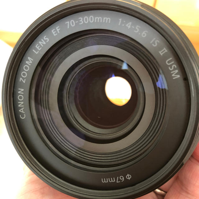 Canon EF70-300mm F4-5.6 IS II USMの通販 by のりさん's shop｜キヤノンならラクマ - Canon ズームレンズ 低価高品質