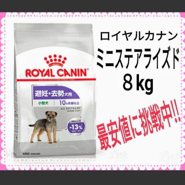 ロイヤルカナン ミニステアライズド(避妊去勢犬用)8kg ×2個 - ドッグフード