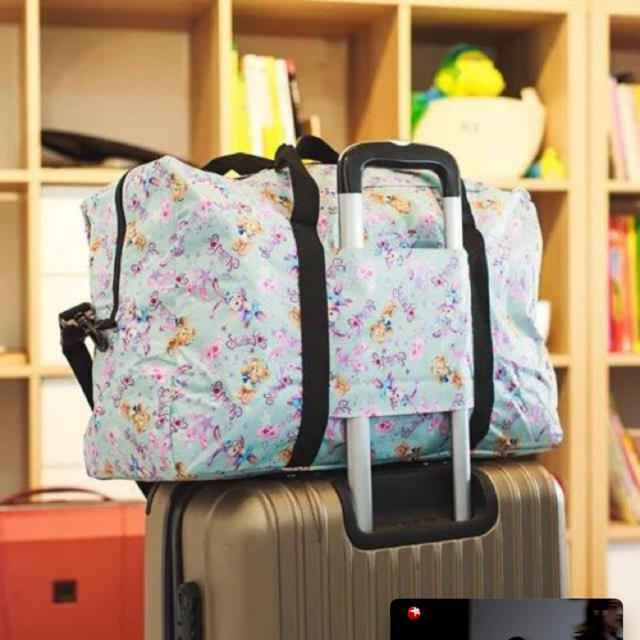 Disney - 日本未発売 ダッフィー 折り畳み ボストンバッグ コンパクト