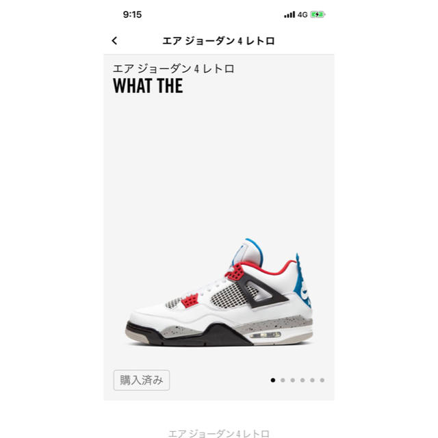 AJ4 エアジョーダン4 WHAT THE