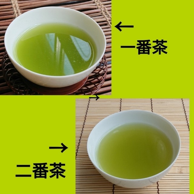 静岡茶  「飲み比べ セット」 食品/飲料/酒の飲料(茶)の商品写真