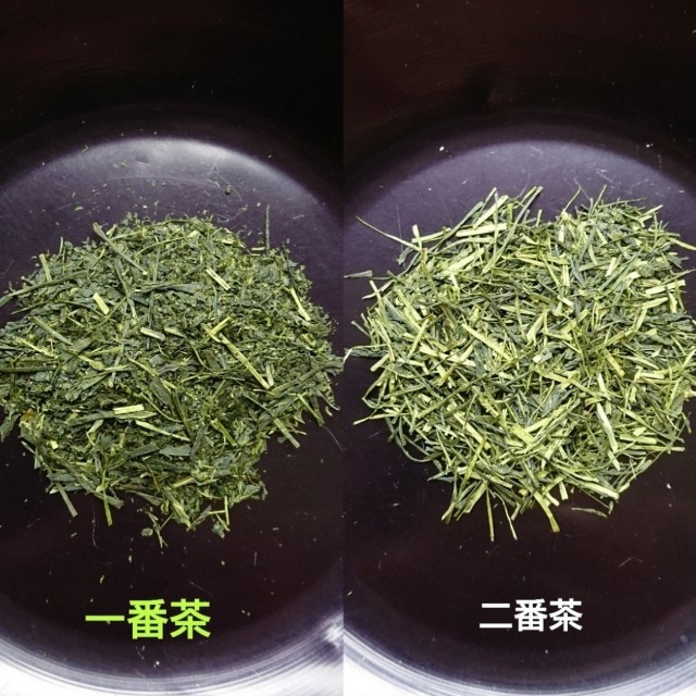 静岡茶  「飲み比べ セット」 食品/飲料/酒の飲料(茶)の商品写真