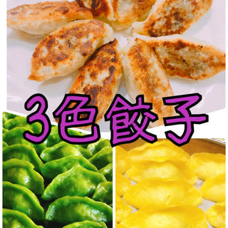 3色餃子　白・緑・黄色　野菜の色　皮もちもち　中ジューシー　無添加　美味しい(野菜)