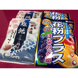 ライオン(LION)の花粉プラス のど飴 榮太棲 塩飴 2種 × 2袋(菓子/デザート)