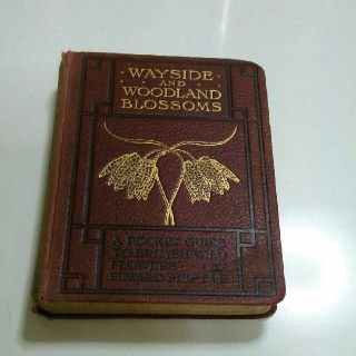 39 イギリスの古い植物図鑑 アンティーク ヴィンテージ 洋書 古書(洋書)