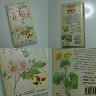 40 洋書イギリス 植物図鑑 植物本 古書 難ありの通販 ラクマ