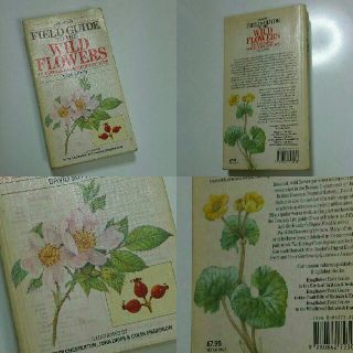 40 洋書イギリス 植物図鑑 植物本 古書 難ありの通販 ラクマ 40 洋書イギリス 植物図鑑 植物本 古書 難ありの通販 ラクマ