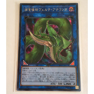 遊戯王　捕食植物ヴェルテ・アナコンダ　シークレット　PSA10